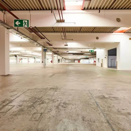 ICW -- ab 500m² HALLENFLÄCHE WIENER NEUSTADT  - BEI A2 - Bild 2