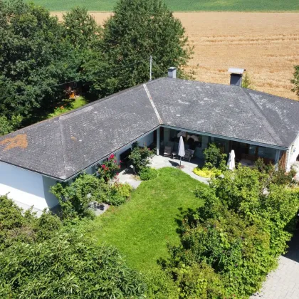 Natur pur in Stadtnähe - Sehr gepflegter Bungalow in Ruhelage - Bild 2