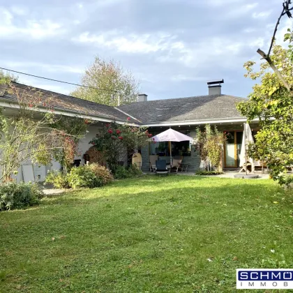 Natur pur in Stadtnähe - Sehr gepflegter Bungalow in Ruhelage - Bild 3