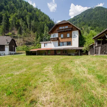 LEBEN IM EINKLANG MIT DER NATUR...! MEHRFAMILIENHAUS MIT MEHREREN WOHNUNGEN, AUSBAUPOTENTIAL FÜR WEITERE WOHNUNGEN, VIEL STAURAUM UND 3.300 m² BAULAND DIREKT AM ALPE-ADRIA-TRAIL! - Bild 2