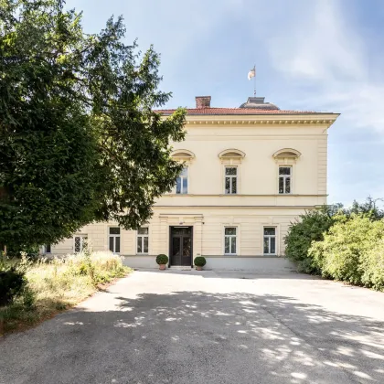 VILLA SEUTTER - freistehende, historische Villa mit Wientalblick & 3.221m² Grund! 24 Zimmer & über 900m² Bestandsfläche! Potenzial auf mehr als 2.500m² WNF - Bild 3