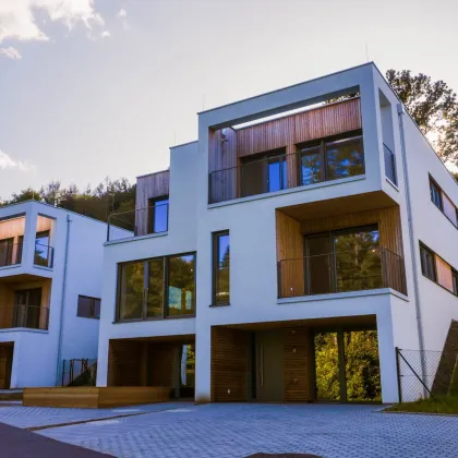 Klosterneuburgs Juwel am Wasser: Doppelhaus mit Badeteich - Modern, luxuriös, Hochwertig und zum sofortigen Einzug bereit! - Bild 2