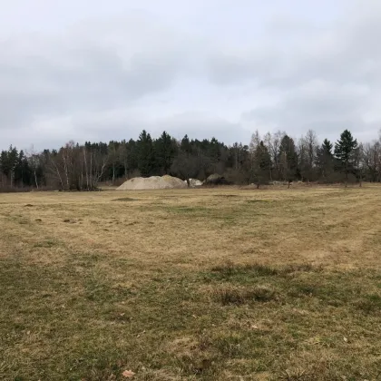 3,2 ha großes aufgeschlossenes Bauträger Grundstück Bauklasse II im Bezirk Gmünd/NÖ - Bild 3