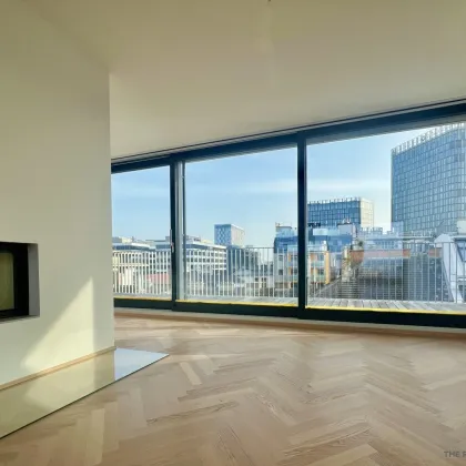 Traum Penthouse mit großen Terrassen und Fernblick - Bild 3