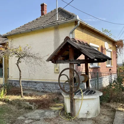 Traumhafte Landidylle - ideal für die Großfamilie & Naturliebhaber - nahe Plattensee - Bild 2