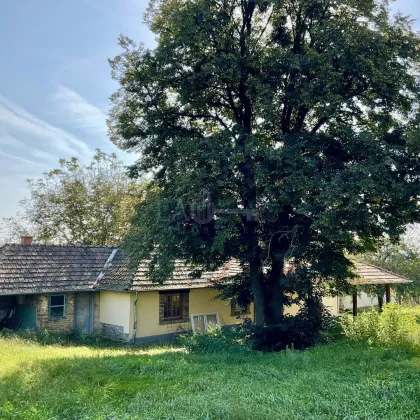 Traumhafte Landidylle - ideal für die Großfamilie & Naturliebhaber - nahe Plattensee - Bild 3