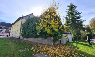 Wohnhaus mit großem Nebengebäude, mehrere Wohneinheiten möglich!