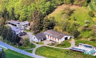 7,5ha Bauernhof mit Wohnhaus, Kellerstöckl, 2 Wirtschaftsgebäuden, Landwirtschaftliche Nutzfläche, Wald