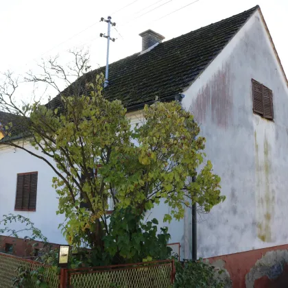 Jennersdorf: Großzügiges Wohnhaus mit sonnigem Garten - Bild 3