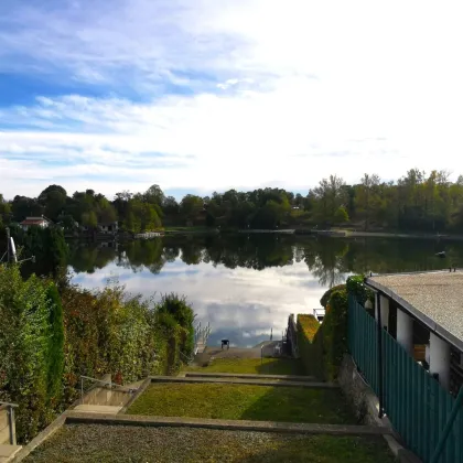 Sonniges Haus mit traumhaften Garten in direkter Nähe zum Steinbrunner See - Bild 3