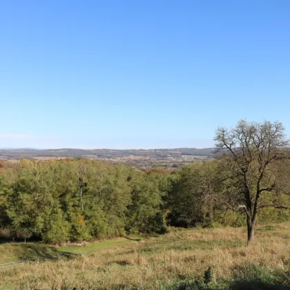 Weichselbaum: Landwirtschaft mit 2,6 ha in toller Aussichtslage - Bild 2