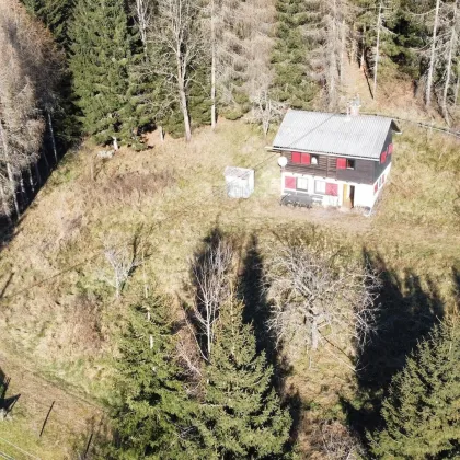 Ferienhaus mit Panoramablick in der Gemeinde Albeck/Sirnitz - Bild 3