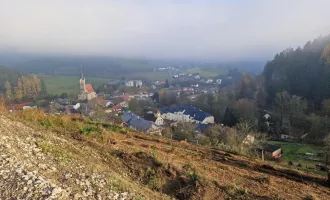 SONNIGES TERRAIN mit auffallend schöner AUSSICHT in absoluter RUHELAGE zwischen 600 bis 3190 m²