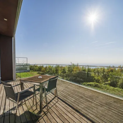 Einzigartiger Blick über Wien! Garconniere mit Terrasse am Kahlenberg - Bild 2