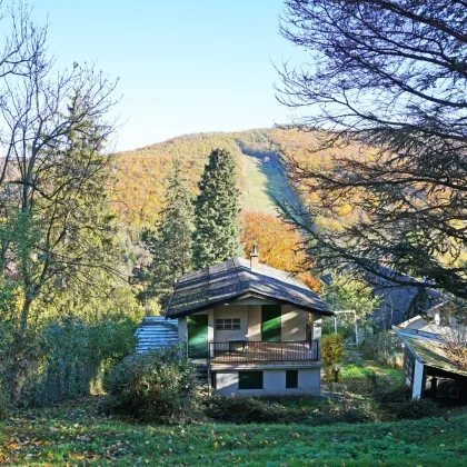 Für Naturliebhaber und Bergfexe! Liegenschaft im Augustinerwald mit Traumausblick - Bild 3