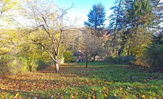 Für Naturliebhaber und Bergfexe! Liegenschaft im Augustinerwald mit Traumausblick