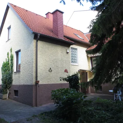 Wohnhaus in Wiener Neustadt - Bild 2