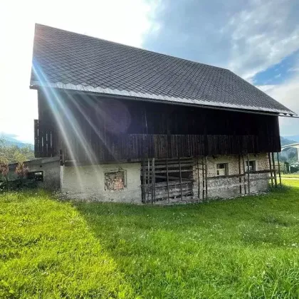 Land- und Forstwirtschaftliche Flächen arrondiert ca. 7,6 ha  mit großem Wohnhaus und Stallgebäude - Bild 3