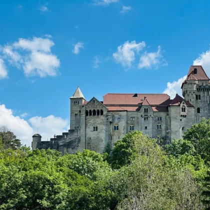 AKTIONSPREIS! Exklusive Doppelhaushälften inkl. Terrasse/Garten + Balkon! TRAUMAUSBLICK auf Burg Liechtenstein! SCHLÜSSELFERTIG! - Bild 2