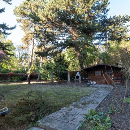 VILLA MIT GROSSEM GARTEN BEIM TÜRKENSCHANZPARK - Bild 3