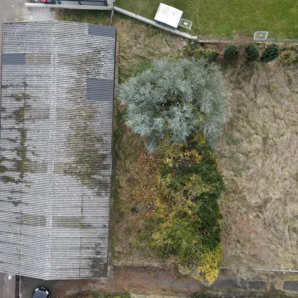 Sonniges Grundstück mit 200m2 Halle - Bild 2