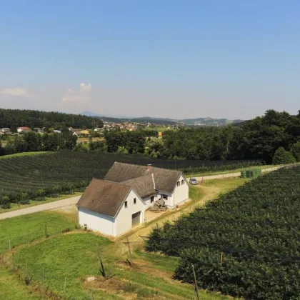 Arrondierte 6 Hektar Landwirtschaft mit Bauernhaus und Lager - Bild 3