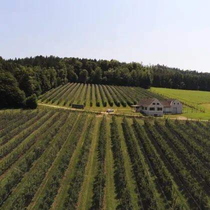 Arrondierte 6 Hektar Landwirtschaft mit Bauernhaus und Lager - Bild 2