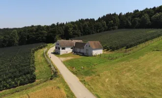 Arrondierte 6 Hektar Landwirtschaft mit Bauernhaus und Lager