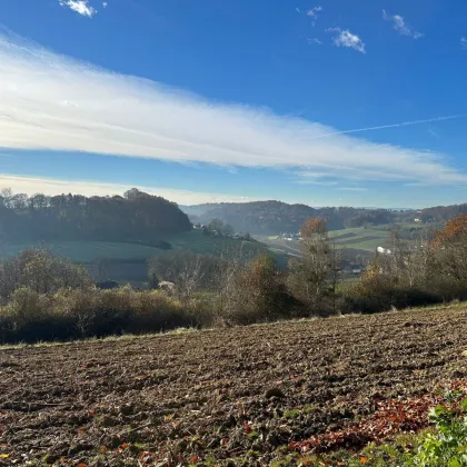 Idyllisches Grundstück mit Berg- und Fernblick in der Südoststeiermark!!!  2 BAUGRUNDSTÜCKE ZU EINEM PREIS!!! - Bild 2