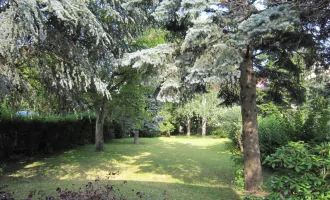 Einfamilienhaus mit großem Garten