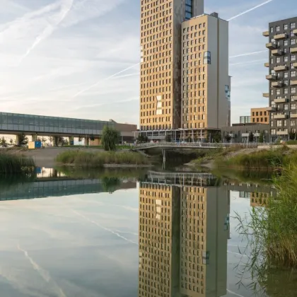 Büro/Praxis/Geschäftsflächen ab 350m2 direkt an der U2 individuell gestaltbar mit Terrasse! Ab sofort verfügbar! - Bild 3