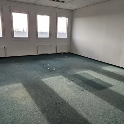 2820 m2 Büroetagen im Industriegebiet Strebersdorf - Bild 3