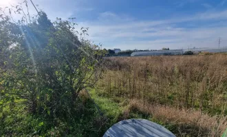 landwirtschaftlicher Grund mit BB3-Baumöglichkeit inkl. Brunnen