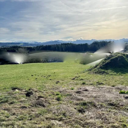 Traumhafte Eigenheim-Lage: Grundstück am Ortsrand von Kirchberg bei Mattighofen - Bild 2