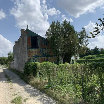 Bauland mit Grünland in Bad Deutsch-Altenburg - Bild 2