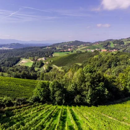 Einzigartiges Anwesen in der Südsteiermark - Weingarten, Pool, Gästehaus, und vieles Mehr! - Bild 2