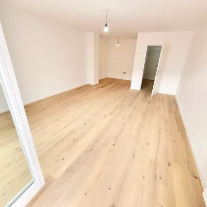 Neuer Preis! Blick ins Grüne + Absolute Hofruhelage! Frisch sanierte Kleinwohnung mit hofseitigem Balkon! Tolle Infrastruktur + Garagenplatz im Haus + Küche optional! Jetzt zugreifen! - Bild 3