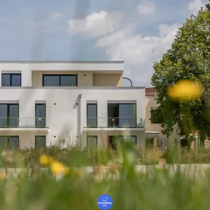 S´Mittendrin - attraktive 3 Zimmer - Wohnung mit Balkon - Bild 3