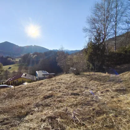 Exklusives Wohngrundstück in Kapfenberg - Sonnenhangsiedlung: Ruhelage, Sonnige West-Ausrichtung und Unverbaubarer Ausblick! - Bild 3