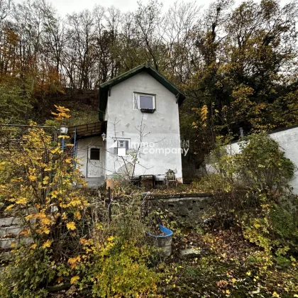 Traumhaftes Baugrundstück in Höflein an der Donau - 604m² für Ihr Eigenheim, inkl. Garten und Garage! - Bild 3