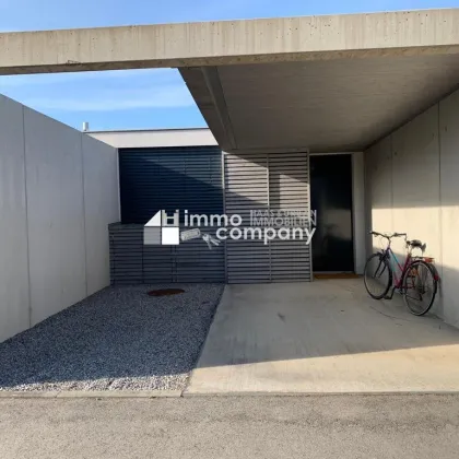 Neusiedlersee - ideales Ferienappartement direkt am See - Bild 3