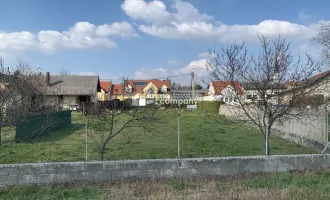 Ebenerdiges Grundstück kommt in Bockfließ zum Verkauf