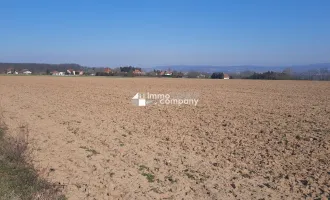 Einmalige Gelegenheit großer Grund mit Bohrrecht Thermalwasser - Unique opportunity to acquire large land near Heviz with drilling rights for thermal water.