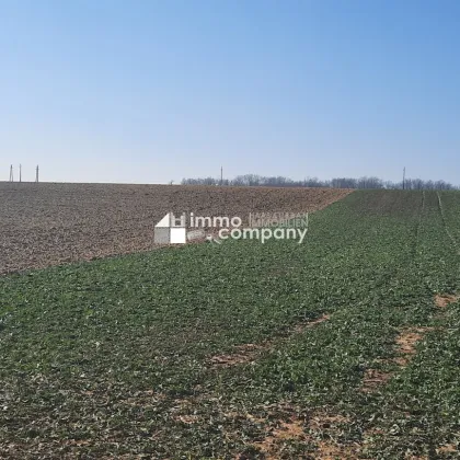 Einmalige Gelegenheit großer Grund mit Bohrrecht Thermalwasser - Unique opportunity to acquire large land near Heviz with drilling rights for thermal water. - Bild 2