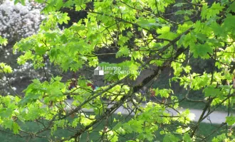 Bezaubernde Wohnung mit schöner Aussicht !! - Renoviert, sehr sonnig !