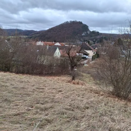 Letzter verfügbarer Bauplatz in sonniger Hanglage in Alland - Bild 2