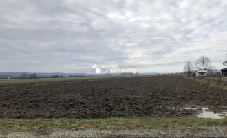 Ebenes Grundstück in Ortsrandlage