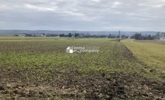 Schöner Baugrund unweit von Jennersdorf