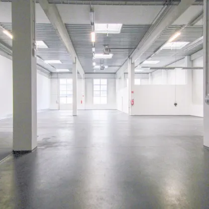 Lagerhalle 650 m2 mit Büro 230 m2 Kombination südlich von Wien, in Wr. Neudorf - Bild 3