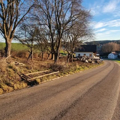 Grundstück in sonniger Lage zu verkaufen ! - Bild 3